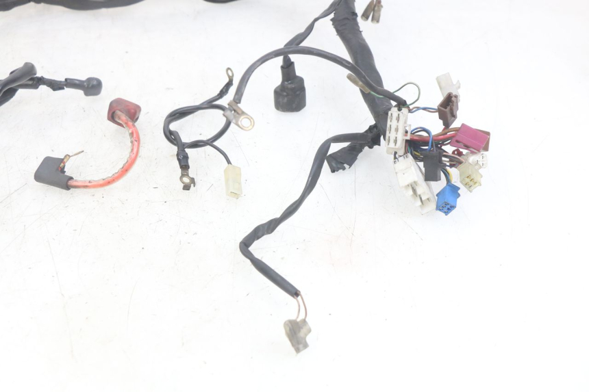 photo de CABLEADO YAMAHA FZS FAZER 600 (1998 - 2001)