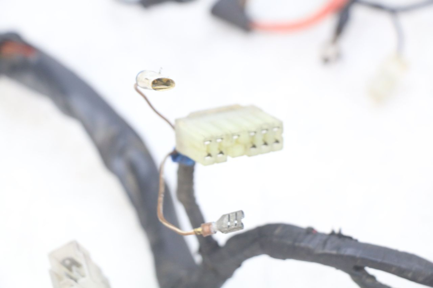 photo de CABLEADO YAMAHA FZS FAZER 600 (1998 - 2001)