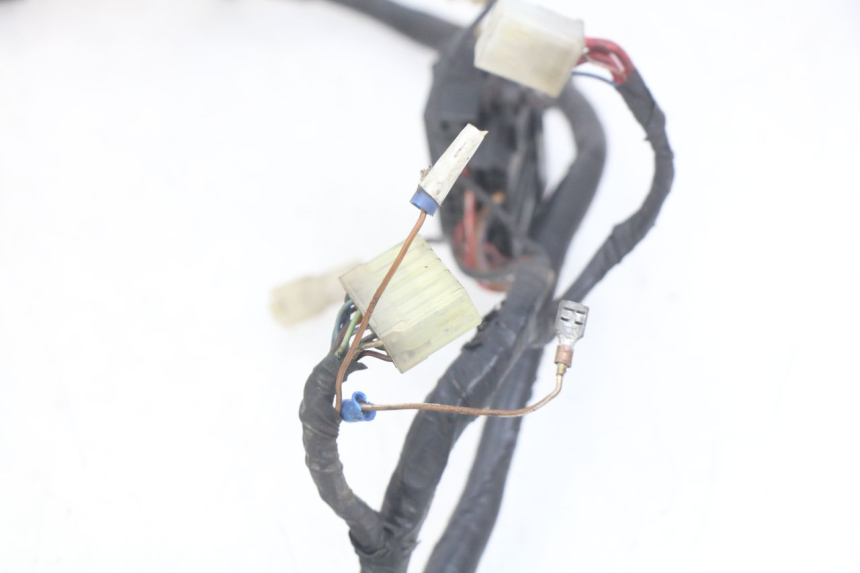 photo de CABLEADO YAMAHA FZS FAZER 600 (1998 - 2001)