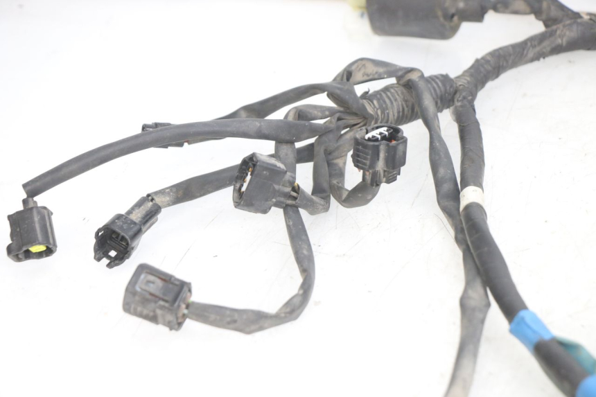 photo de CABLEADO YAMAHA X-MAX XMAX 250 (2006 - 2009)