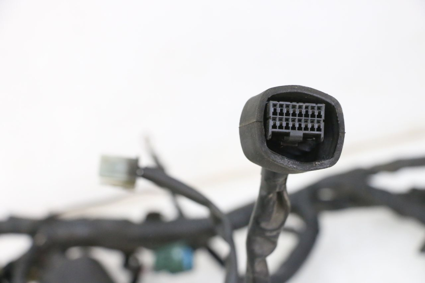 photo de CABLEADO YAMAHA XJ6 600 (2008 - 2016)