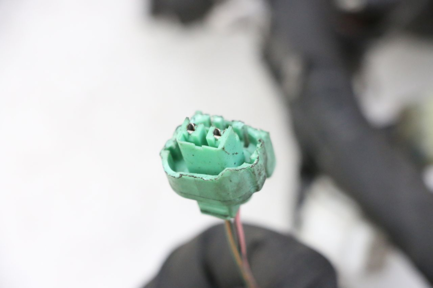 photo de CABLEADO YAMAHA XJ6 ABS 600 (2008 - 2016)