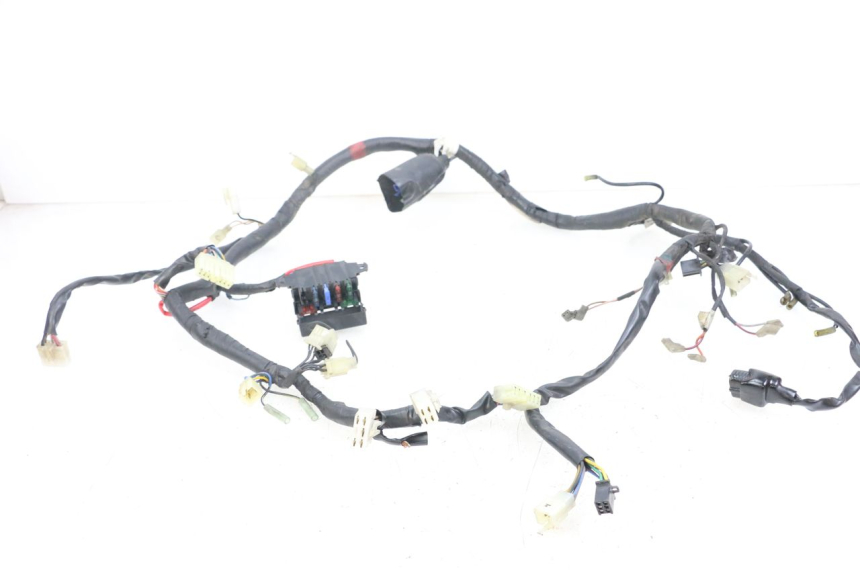 photo de CABLEADO YAMAHA XJS DIVERSION 600 (1997 - 1999)