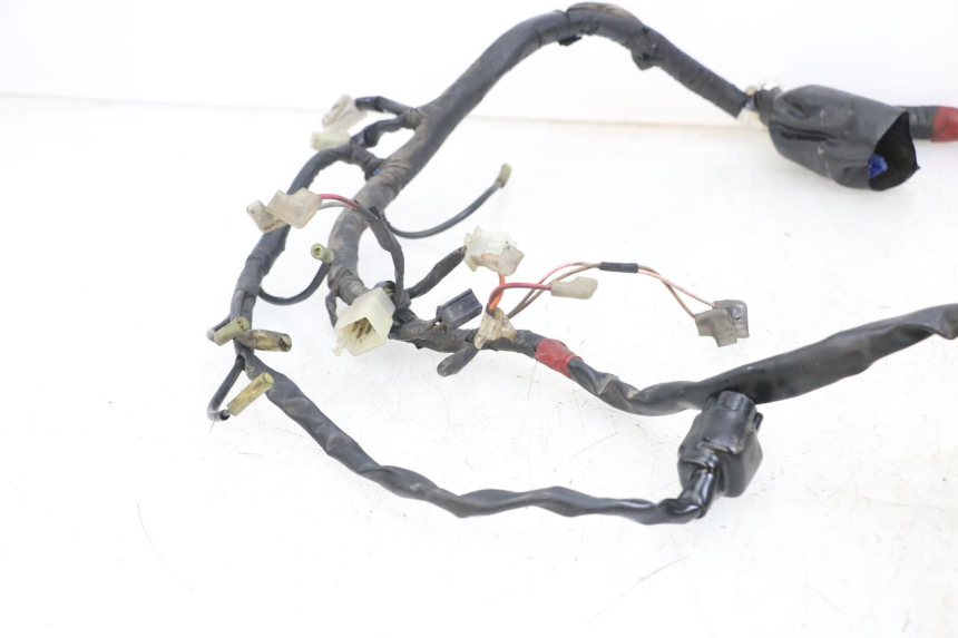 photo de CABLEADO YAMAHA XJS DIVERSION 600 (1997 - 1999)