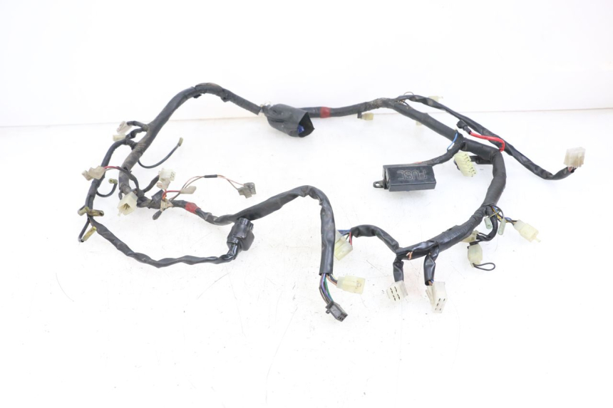 photo de CABLEADO YAMAHA XJS DIVERSION 600 (1997 - 1999)