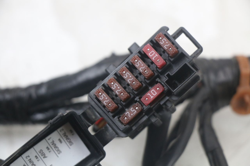 photo de CABLEADO YAMAHA XMAX X-MAX ABS 125 (2017 - 2020)