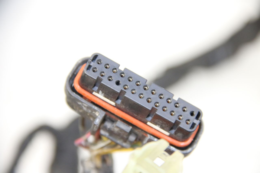 photo de CABLEADO YAMAHA XP T-MAX TMAX 500 (2004 - 2007)