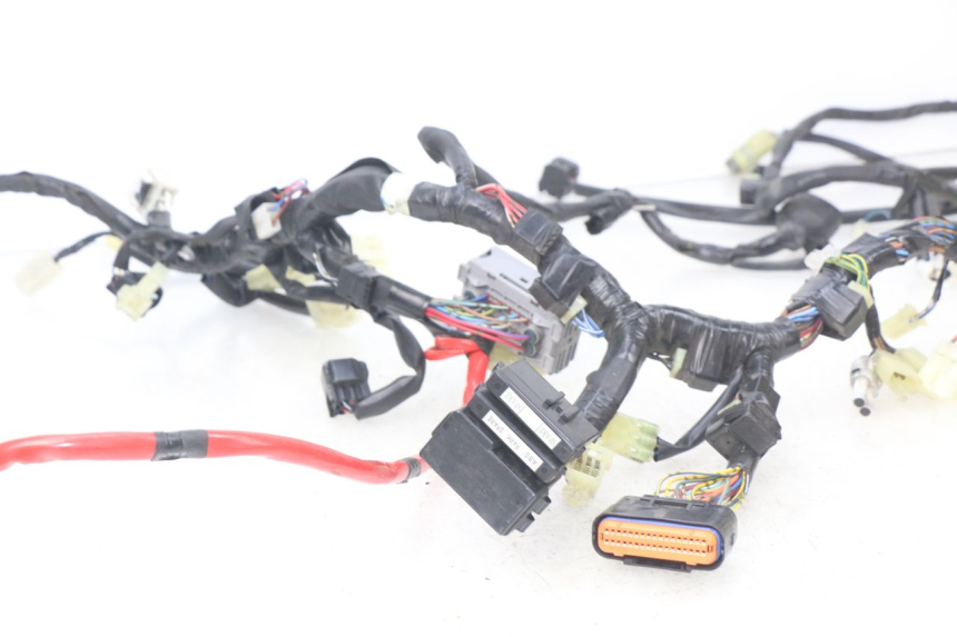 photo de CABLEADO YAMAHA XP T-MAX TMAX ABS 530 (2012 - 2015)