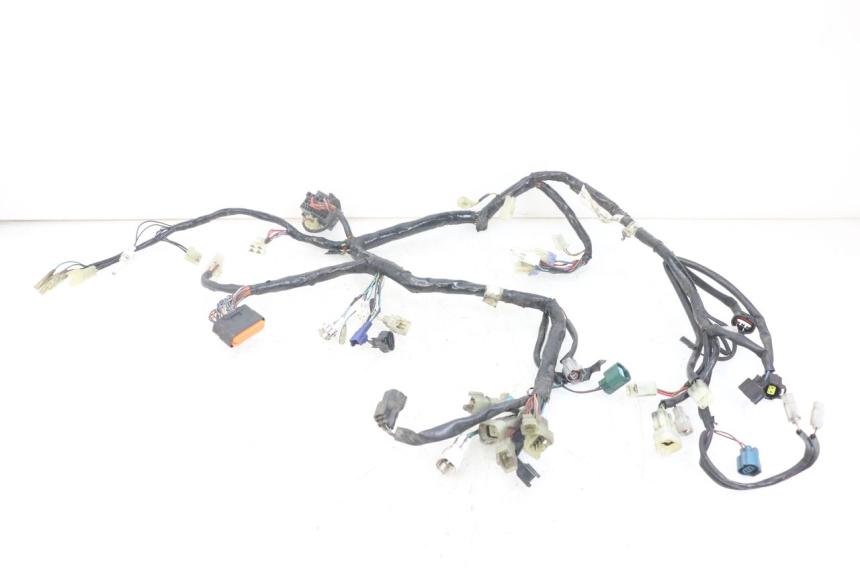photo de CABLEADO YAMAHA XT X 660 (2004 - 2016)
