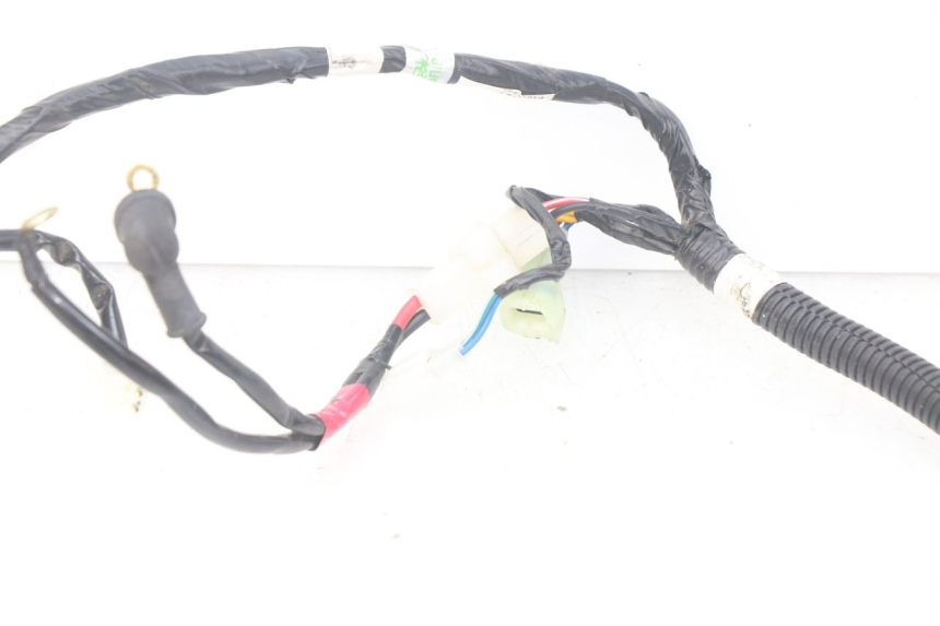 photo de CABLEADO YAMAHA YFM R RAPTOR 90 (2017 - 2023)