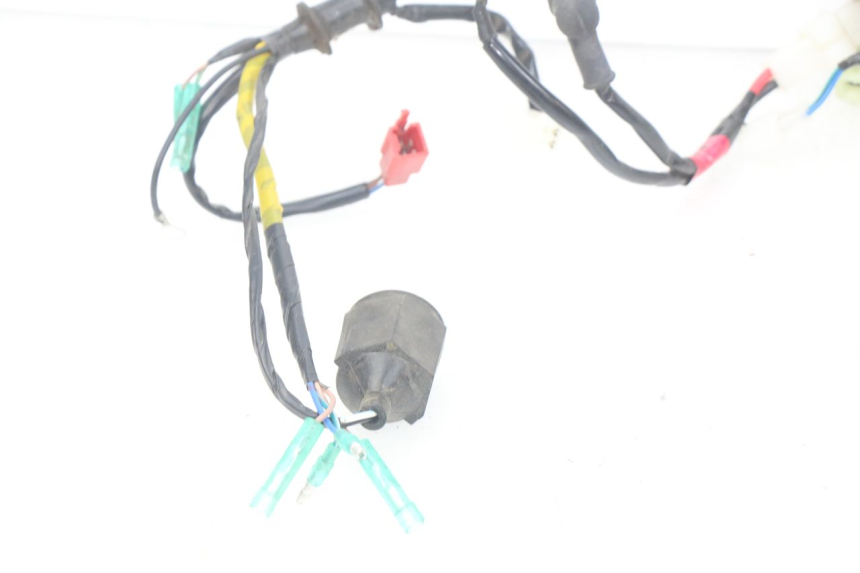 photo de CABLEADO YAMAHA YFM R RAPTOR 90 (2017 - 2023)