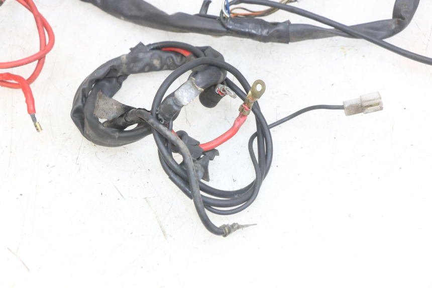 photo de CABLEADO YAMAHA YP MAJESTY 125 (1998 - 2001)