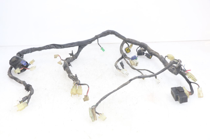 photo de CABLEADO YAMAHA YZF R THUNDERCAT 600 (1996 - 2003)