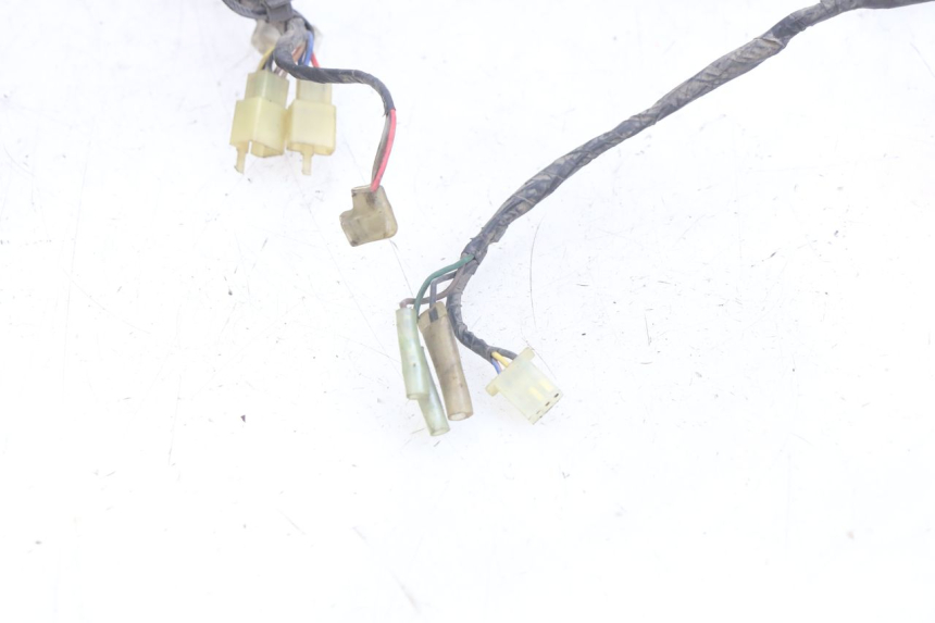 photo de CABLEADO YAMAHA YZF R THUNDERCAT 600 (1996 - 2003)