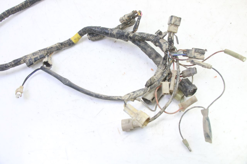 photo de CABLEADO YAMAHA YFM BRUIN 350 (2003 - 2009)