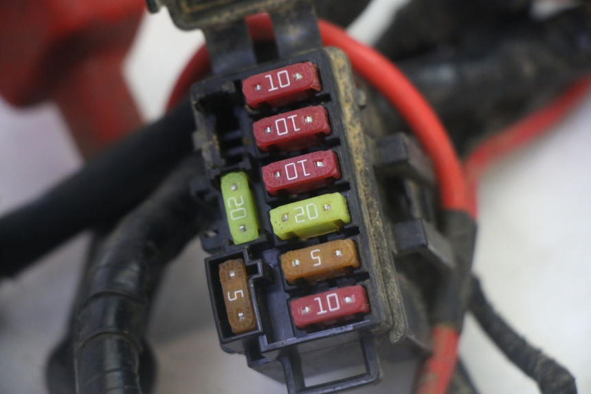 photo de CABLEADO YAMAHA YFM GRIZZLY 550 (2008 - 2015)