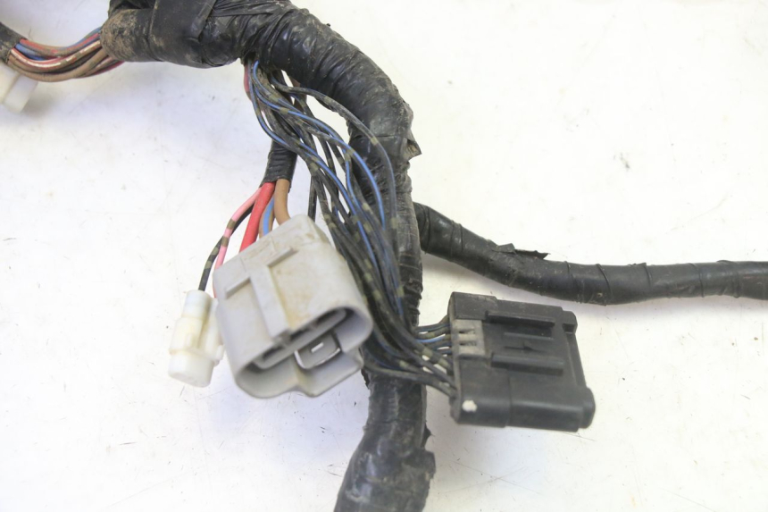 photo de CABLEADO YAMAHA YFM GRIZZLY 550 (2008 - 2015)