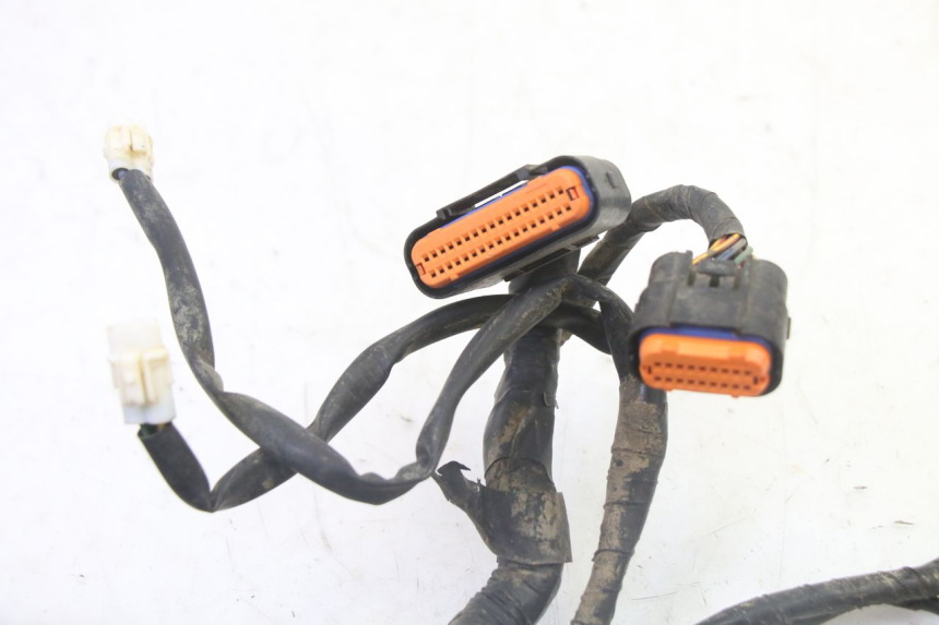 photo de CABLEADO YAMAHA YFM GRIZZLY 550 (2008 - 2015)