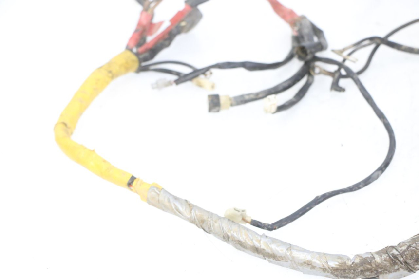 photo de CABLEADO YAMAHA YFM R RAPTOR 250 (2008 - 2014)