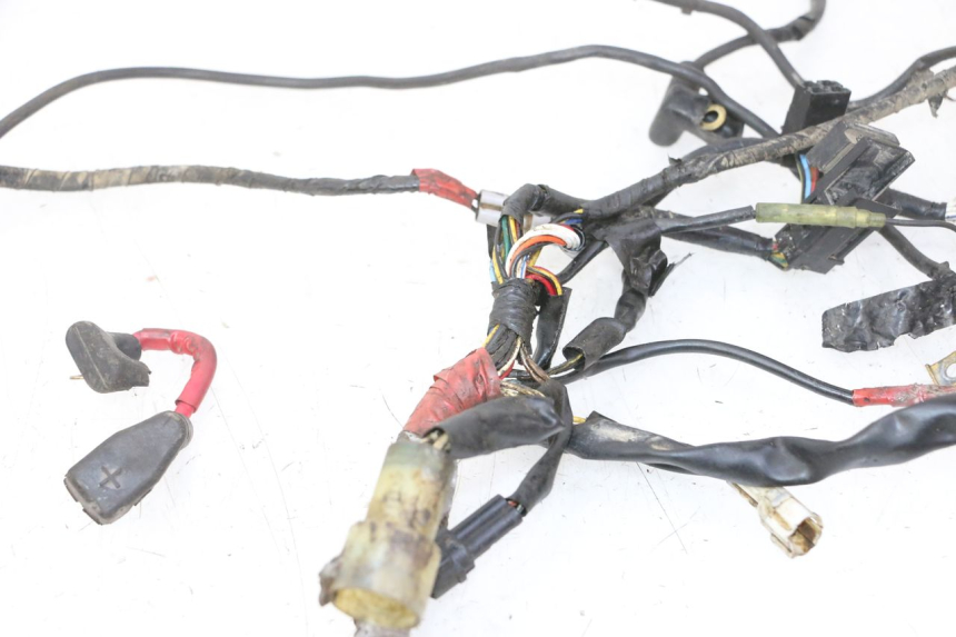 photo de CABLEADO YAMAHA YFM R RAPTOR 250 (2008 - 2014)