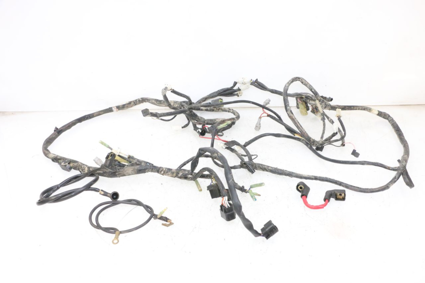 photo de CABLEADO YAMAHA YFM R RAPTOR 250 (2008 - 2014) - Vista principal