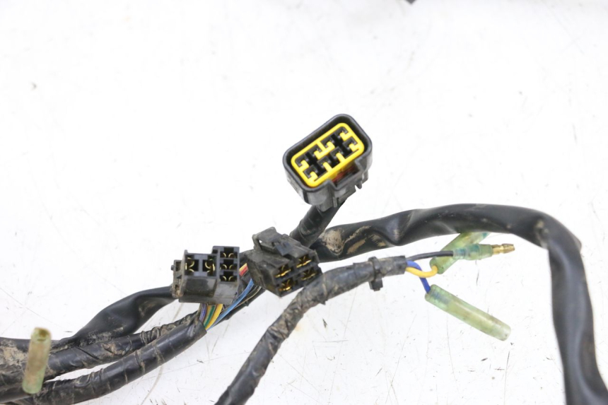 photo de CABLEADO YAMAHA YFM R RAPTOR 250 (2008 - 2014) - Marcados y referencias originales