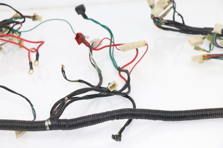 photo de CABLEADO ZHONGYU MOVIDAS 50 (2004 - 2007)