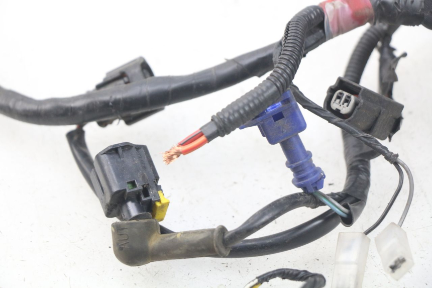 photo de CABLEADO PIAGGIO ZIP 4T 50 (2018 - 2020)