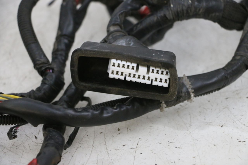 photo de CABLEADO PIAGGIO ZIP 4T 50 (2018 - 2020) - Detalle de la pieza