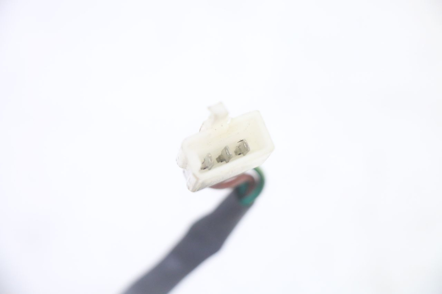 photo de LUZ TRASERA STAHO FH 50 (2018 - 2019)