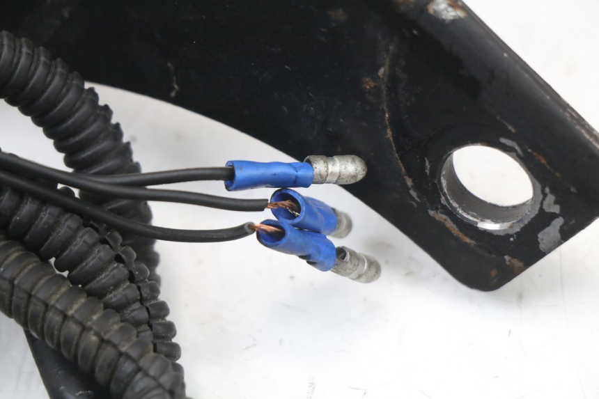photo de LUZ TRASERA HARLEY DAVIDSON SPORTSTER XL CUSTOM 1200 (2003 - 2004)