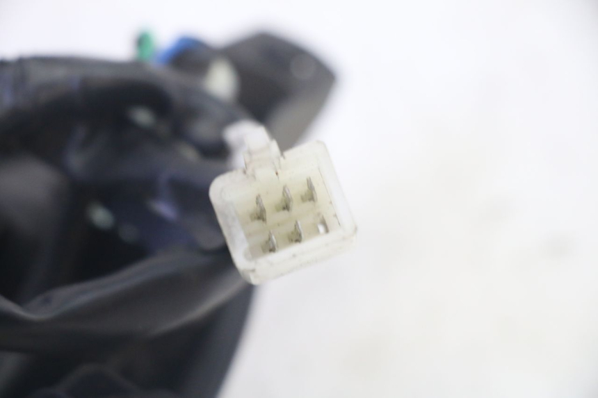 photo de LUZ TRASERA PEUGEOT TWEET PRO EFI 4T 50 (2021 - 2022)