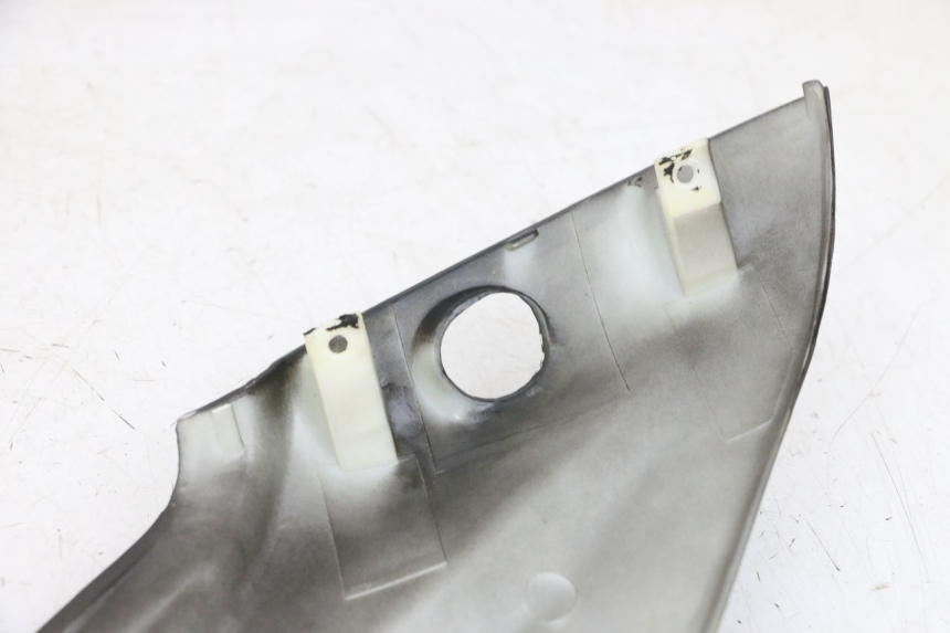 photo de CARENADO TRASERO DERECHA LONGJIA DIGITA 4T 50 (2019 - 2022) - Estado de la superficie y material