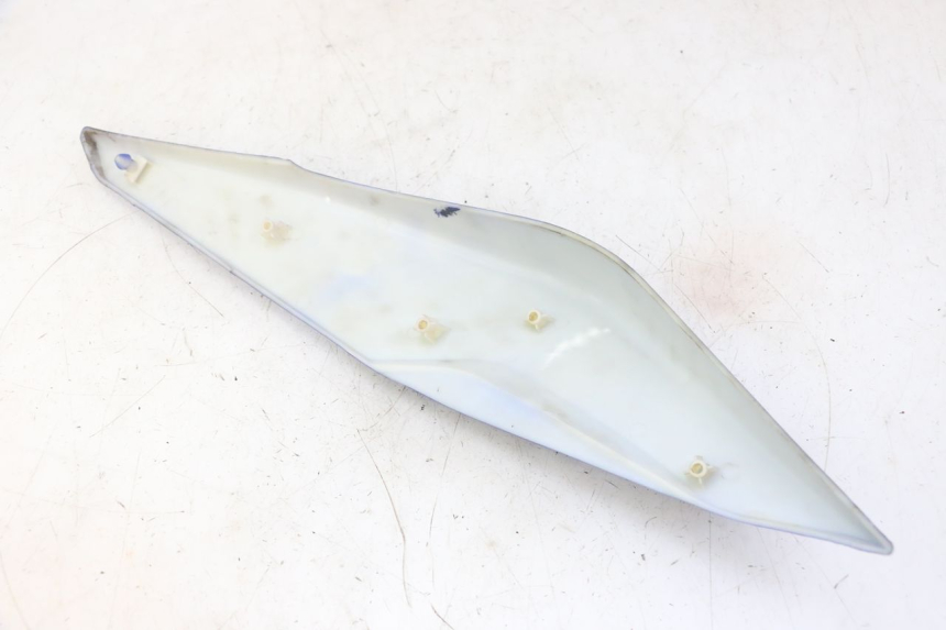 photo de CARENADO TRASERO DERECHA STAHO FH 50 (2018 - 2019)