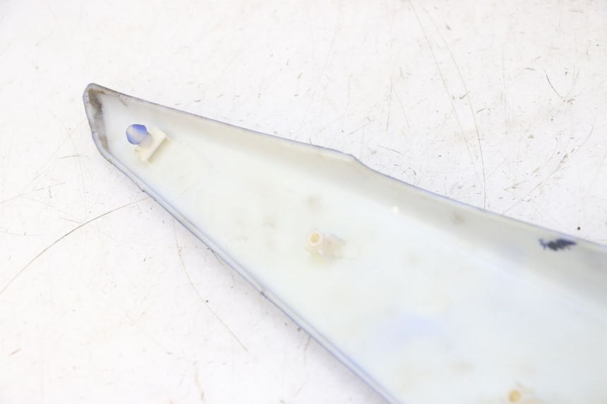 photo de CARENADO TRASERO DERECHA STAHO FH 50 (2018 - 2019)