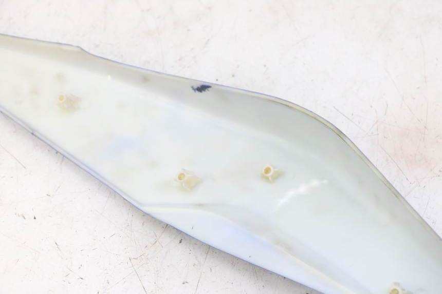 photo de CARENADO TRASERO DERECHA STAHO FH 50 (2018 - 2019)