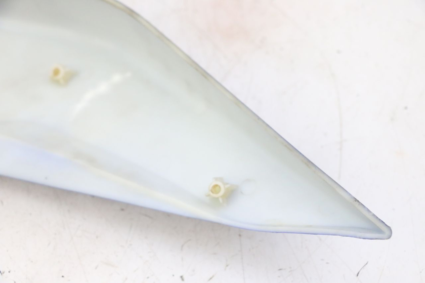 photo de CARENADO TRASERO DERECHA STAHO FH 50 (2018 - 2019)