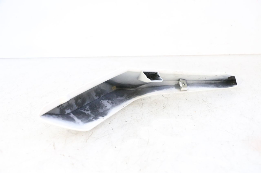 photo de CARENADO TRASERO DERECHA BMW G310 R 310 (2016 - 2020)