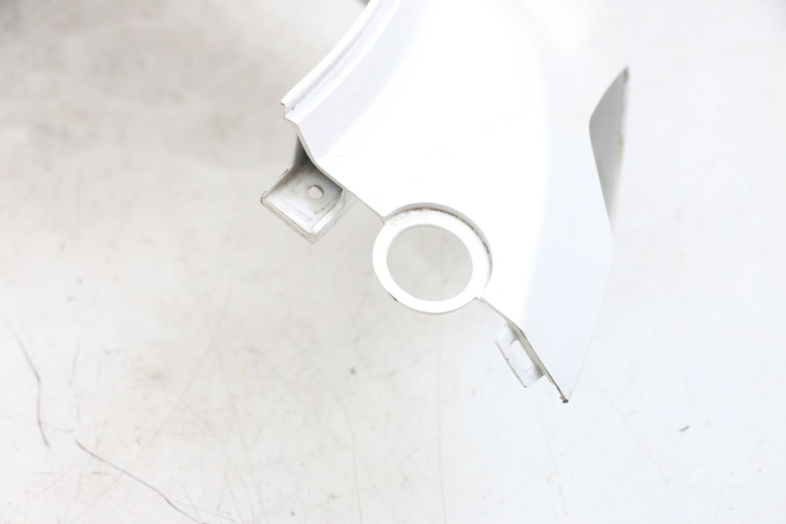 photo de CARENADO TRASERO DERECHA PEUGEOT TWEET PRO EFI 4T 50 (2021 - 2022)