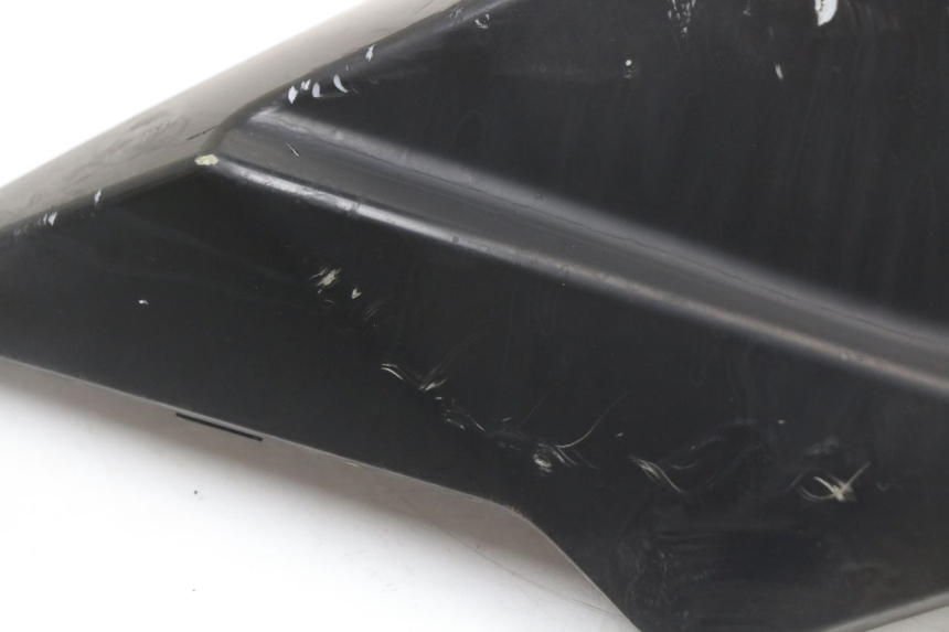 photo de CARENADO TRASERO IZQUIERDA LONGJIA EASY MAX 125 (2020 - 2024)
