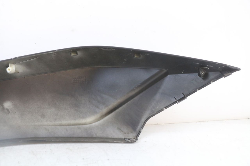 photo de CARENADO TRASERO IZQUIERDA LONGJIA EASY MAX 125 (2020 - 2024)