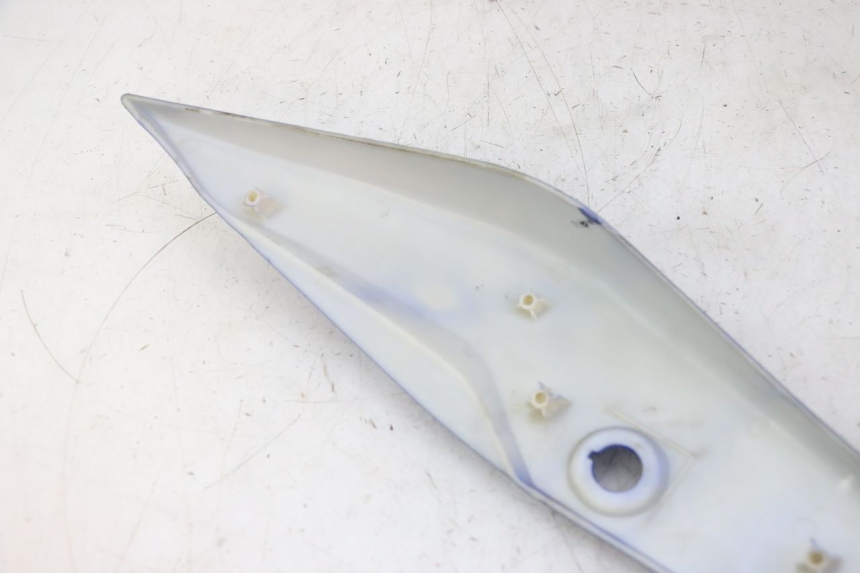 photo de CARENADO TRASERO IZQUIERDA STAHO FH 50 (2018 - 2019)