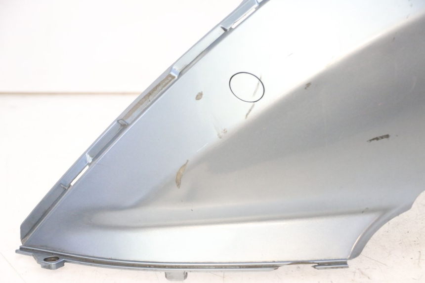 photo de CARENADO TRASERO IZQUIERDA DAELIM HISTORY 125 (2001 - 2002)