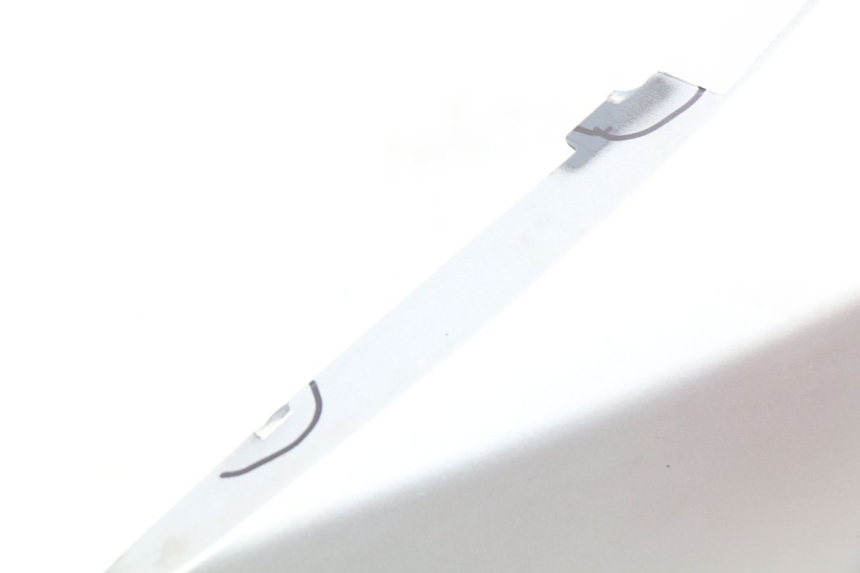 photo de FLANCO TRASERO IZQUIERDO PIAGGIO MP3 500 (2014 - 2016)