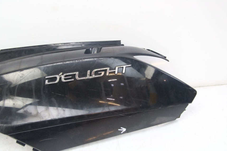 photo de FLANCO TRASERO IZQUIERDO YAMAHA D'ELIGHT DELIGHT 125 (2017 - 2020)