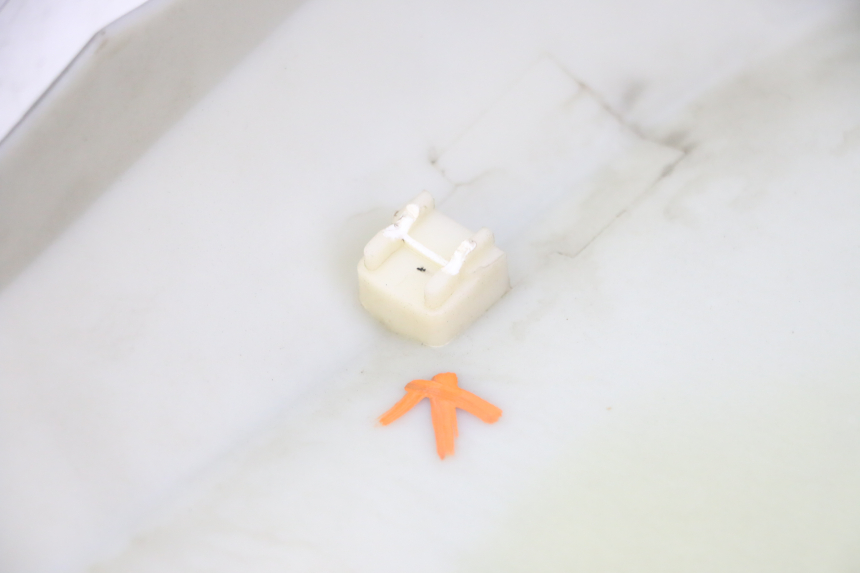 photo de CARENADO DELANTERO DERECHO STAHO FH 50 (2018 - 2019)