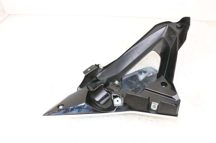 photo de CARENADO DELANTERO DERECHO BMW G310 R 310 (2016 - 2020)