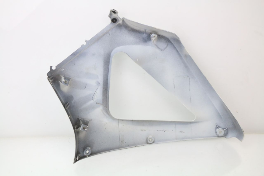 photo de CARENADO DELANTERO DERECHO HONDA CBR 929 RR FIREBLADE 900 (2000 - 2001)