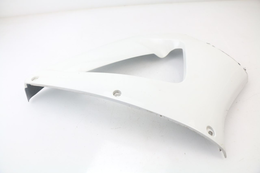photo de CARENADO DELANTERO DERECHO HONDA CBR 929 RR FIREBLADE 900 (2000 - 2001)