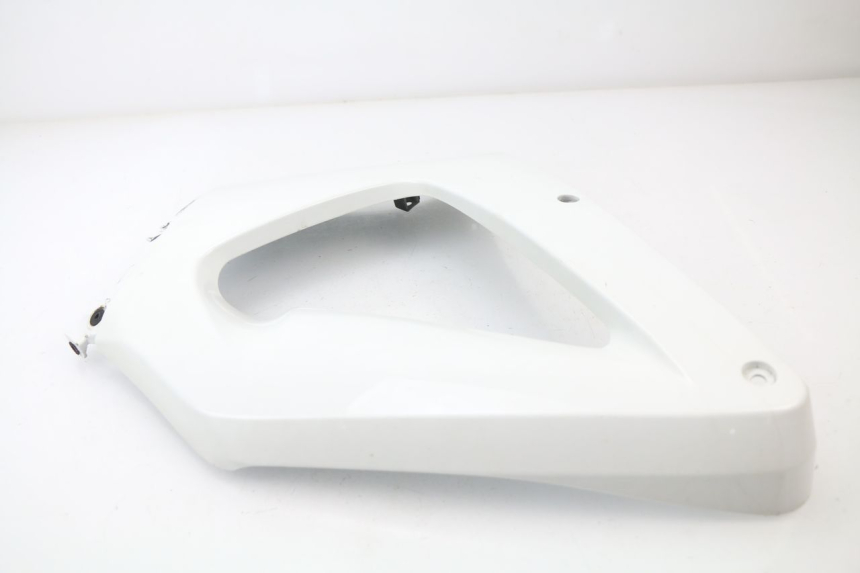 photo de CARENADO DELANTERO DERECHO HONDA CBR 929 RR FIREBLADE 900 (2000 - 2001)